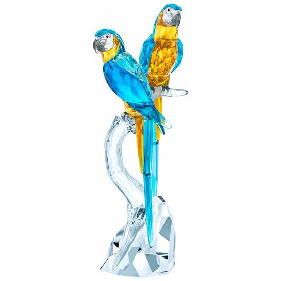 Swarovski figurer. Macaws - 5301566